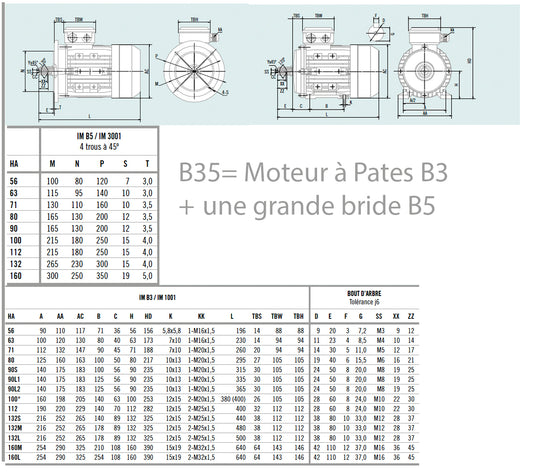 Moteur asynchrone triphasé aluminium IE1 – 0,06 kW – 1500 tr/min – B35 pattes+bride (Pattes B3+ bride grande B5)– MS56