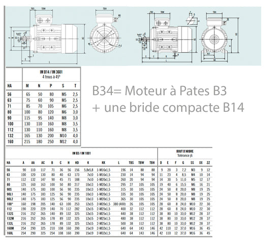 Moteur asynchrone triphasé aluminium IE1 – 0,06 kW – 1500 tr/min – B34 pattes+bride  (Pattes B3+ bride compacte B14) – MS56