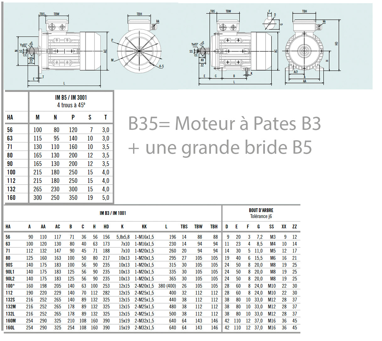 Moteur asynchrone triphasé aluminium IE1 – 3 kW – 750 tr/min – B35 pattes+bride (Pattes B3+ bride grande B5)– MS132 M