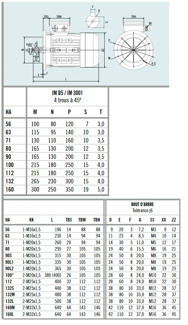 Moteur asynchrone triphasé aluminium IE1 – 0,06 kW – 1500 tr/min – B5 à grande bride – MS56