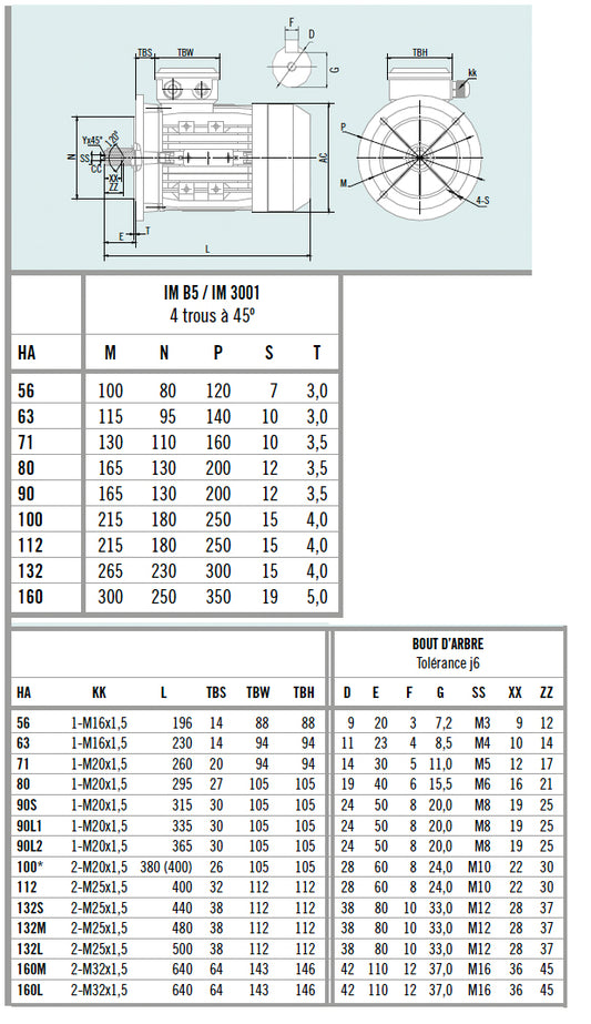 Moteur asynchrone triphasé aluminium IE1 – 0,06 kW – 1500 tr/min – B5 à grande bride – MS56